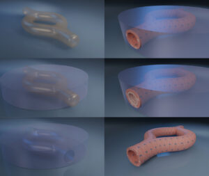 Vasc on Demand – 3D-Illustrationen für ein Forschungsprojekt am Uniklinikum Würzburg